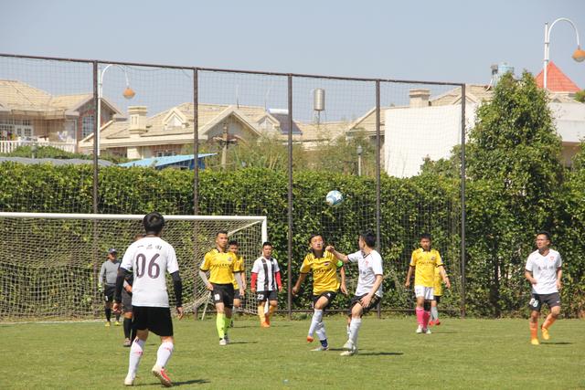 乒乓友谊的跨时空回响